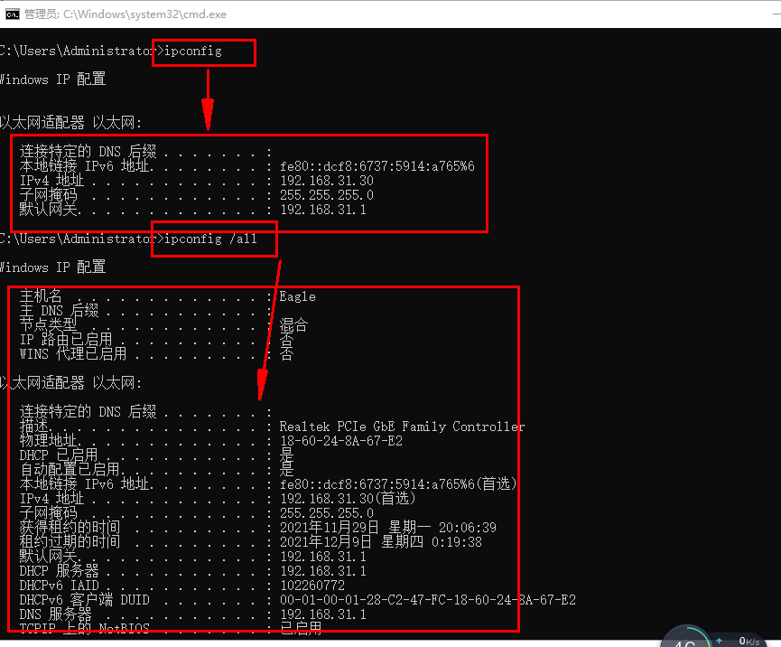 image-20211208165732830